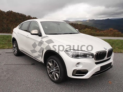 Estriberas BMW X6