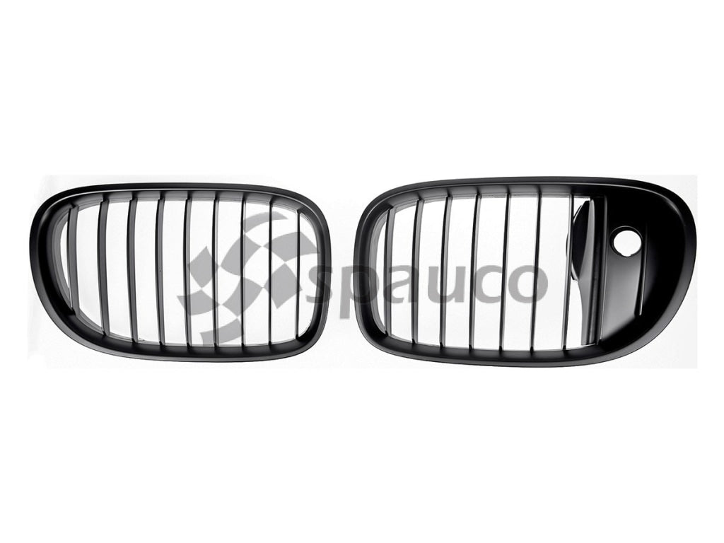 Rejilla Bmw 7 F01