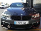 Rejilla BMW F32