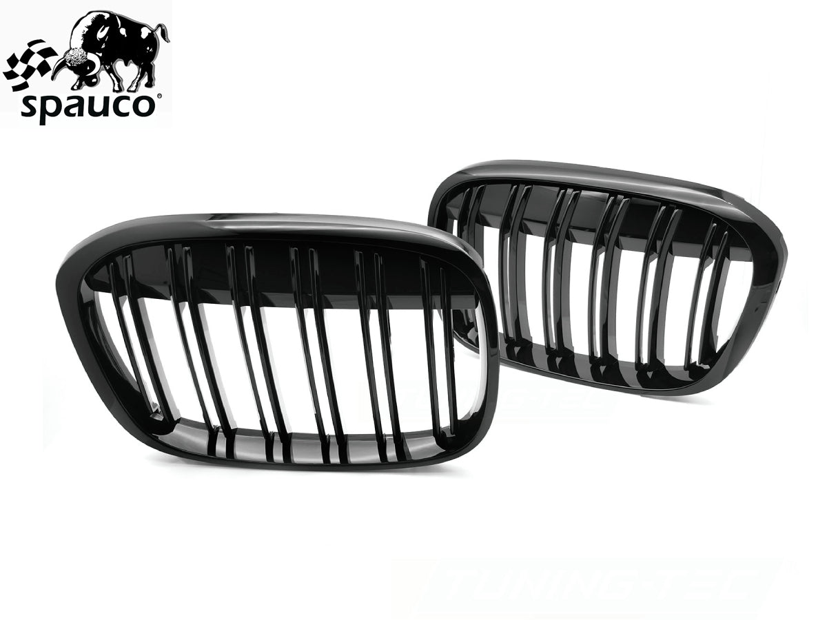 Rejilla BMW X1