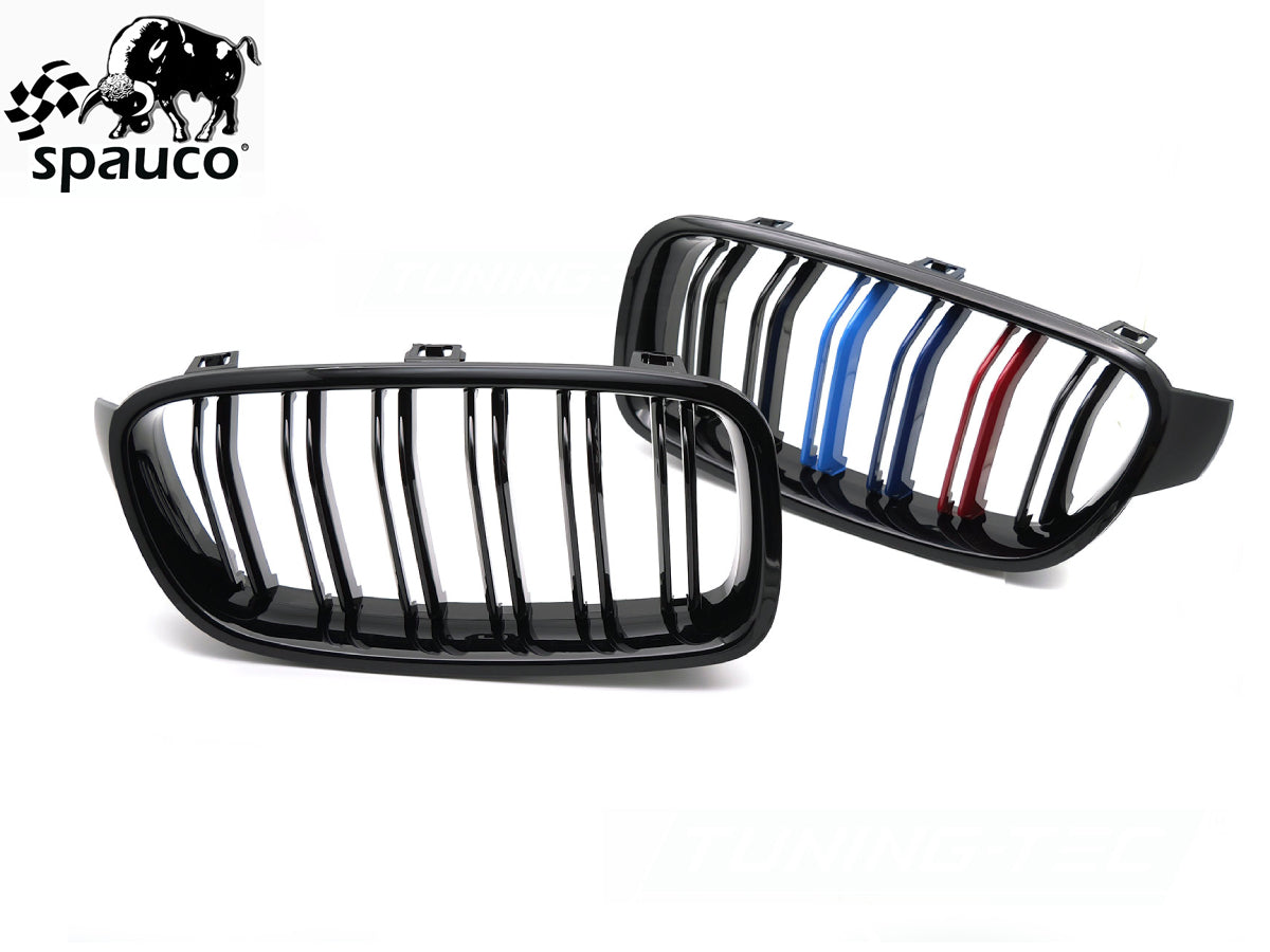 Rejilla BMW F30
