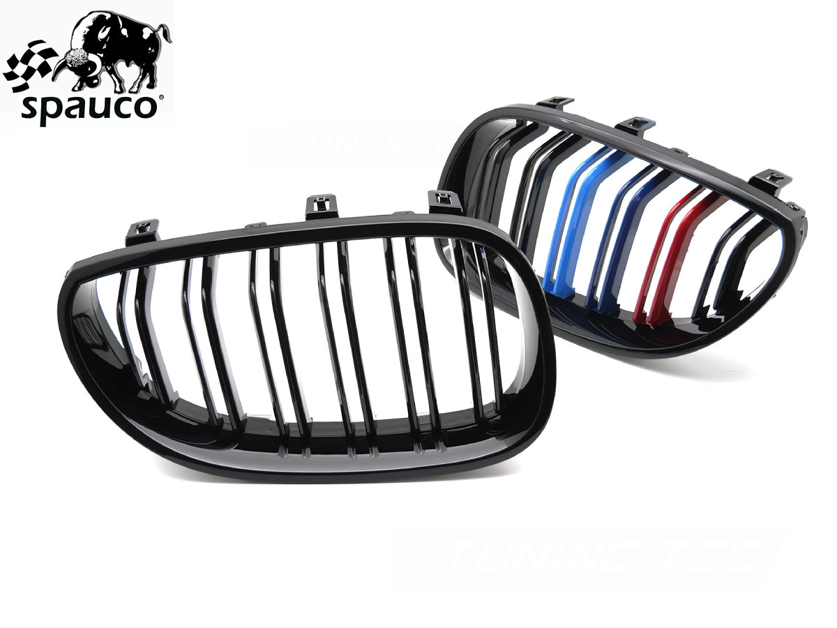Rejilla BMW E60