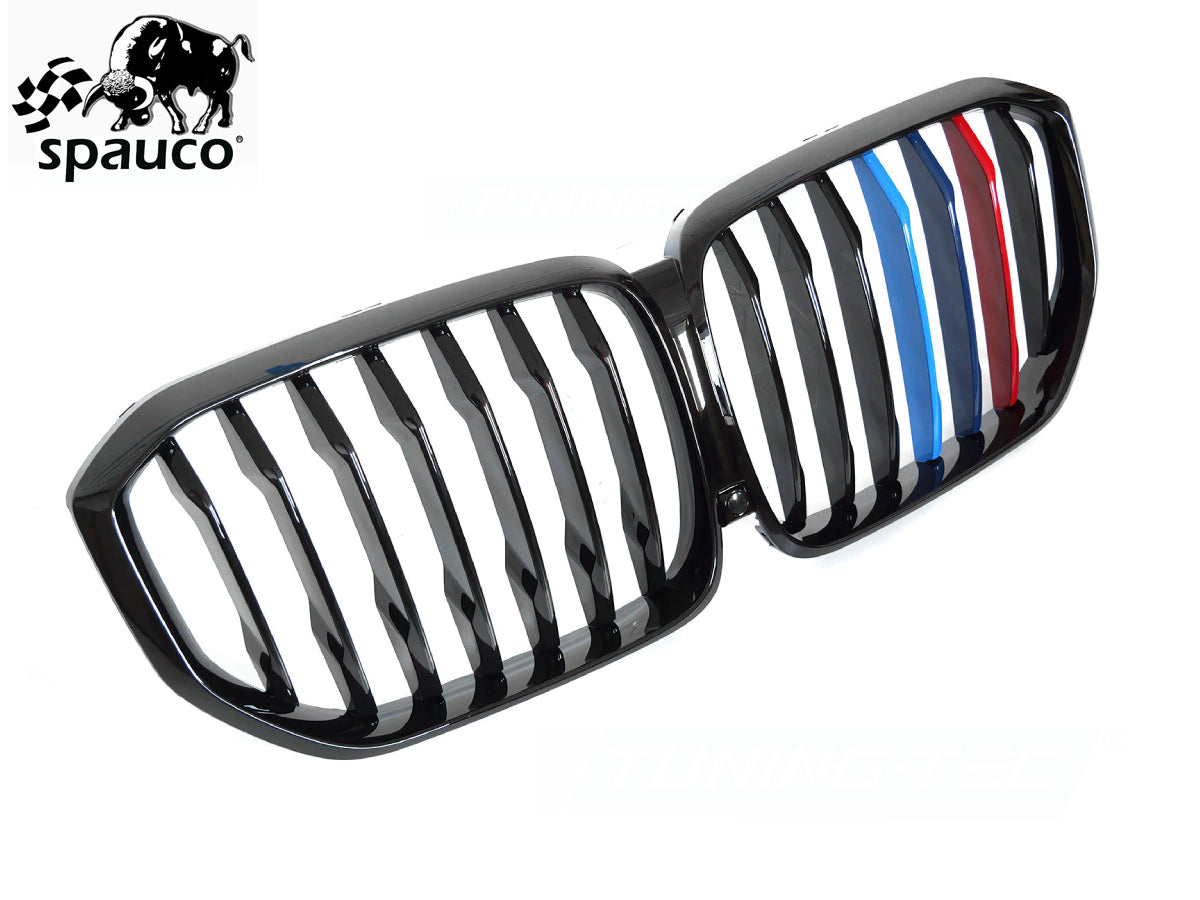 Rejilla BMW X5