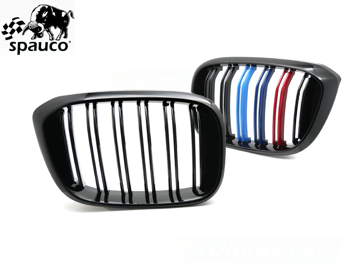 Rejilla BMW X3