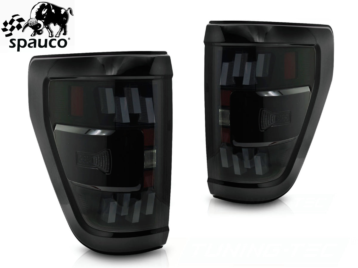 Pilotos Ford F150