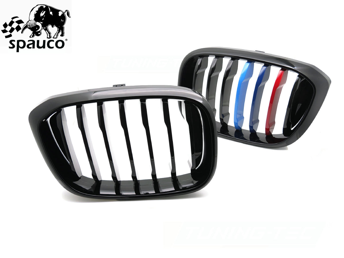 Rejilla BMW X1