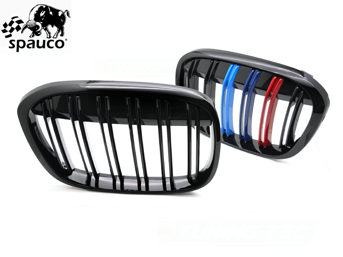 Rejilla BMW X1