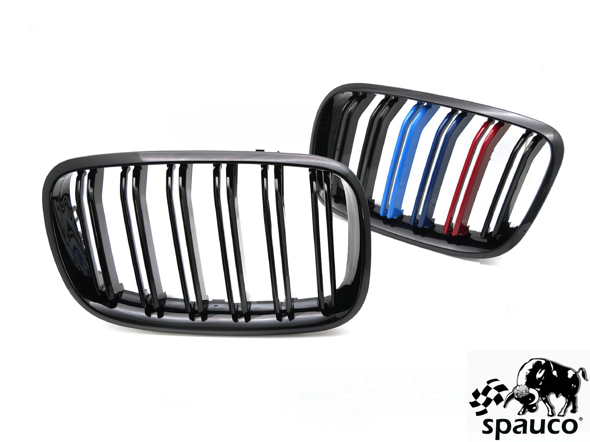 Rejilla BMW X6