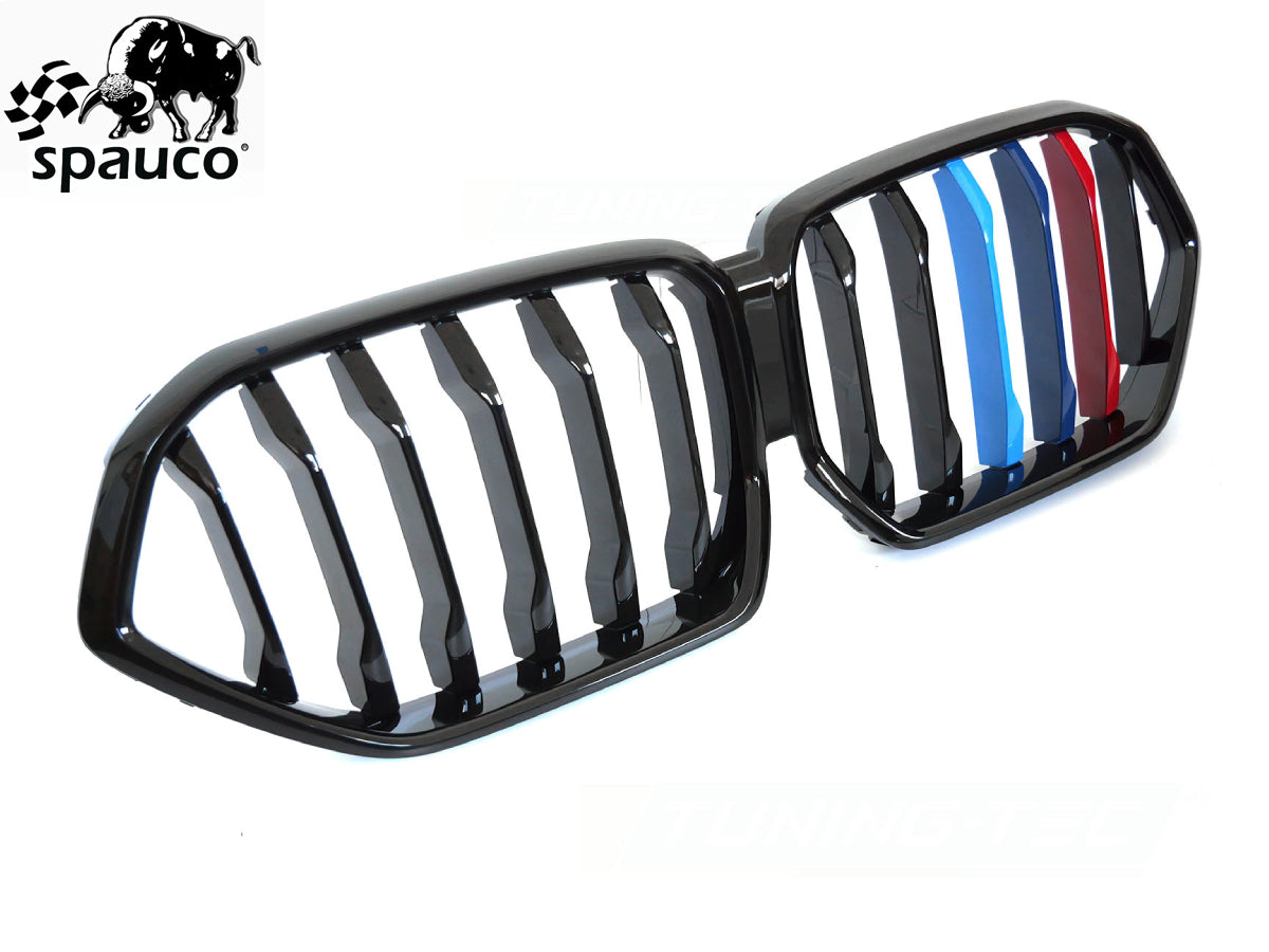 Rejilla BMW X6