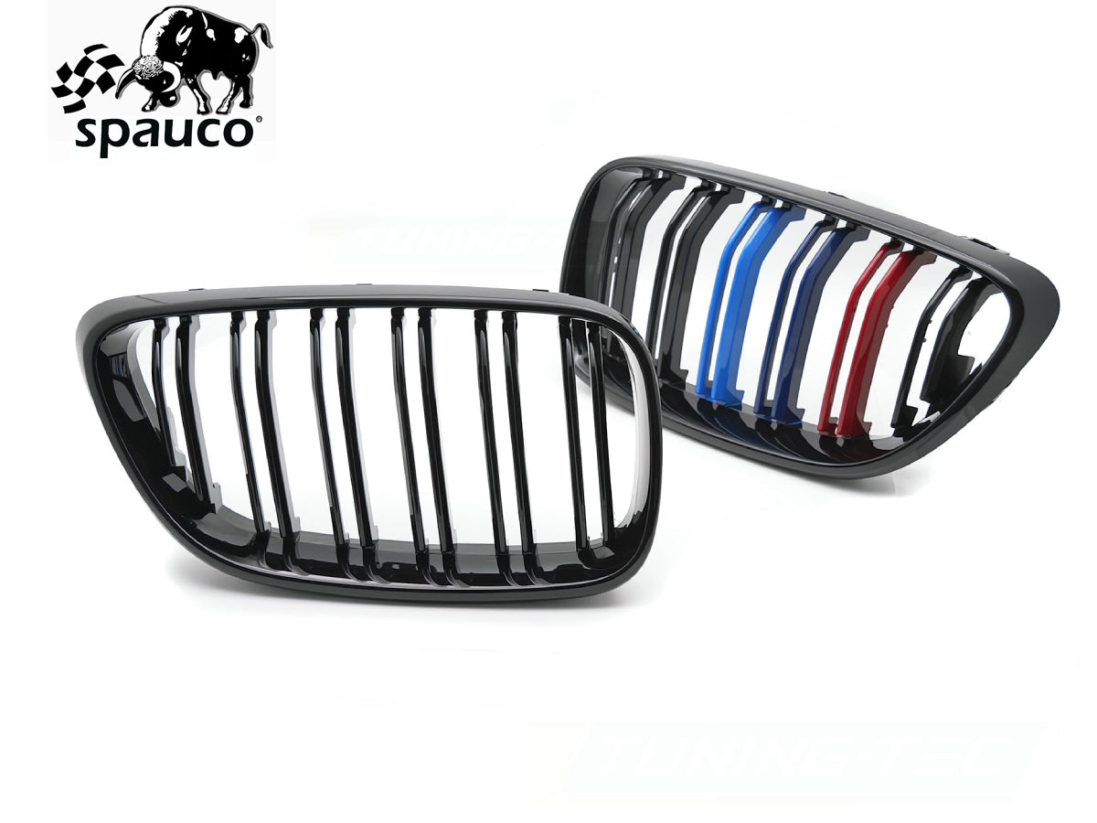 Rejilla BMW F22