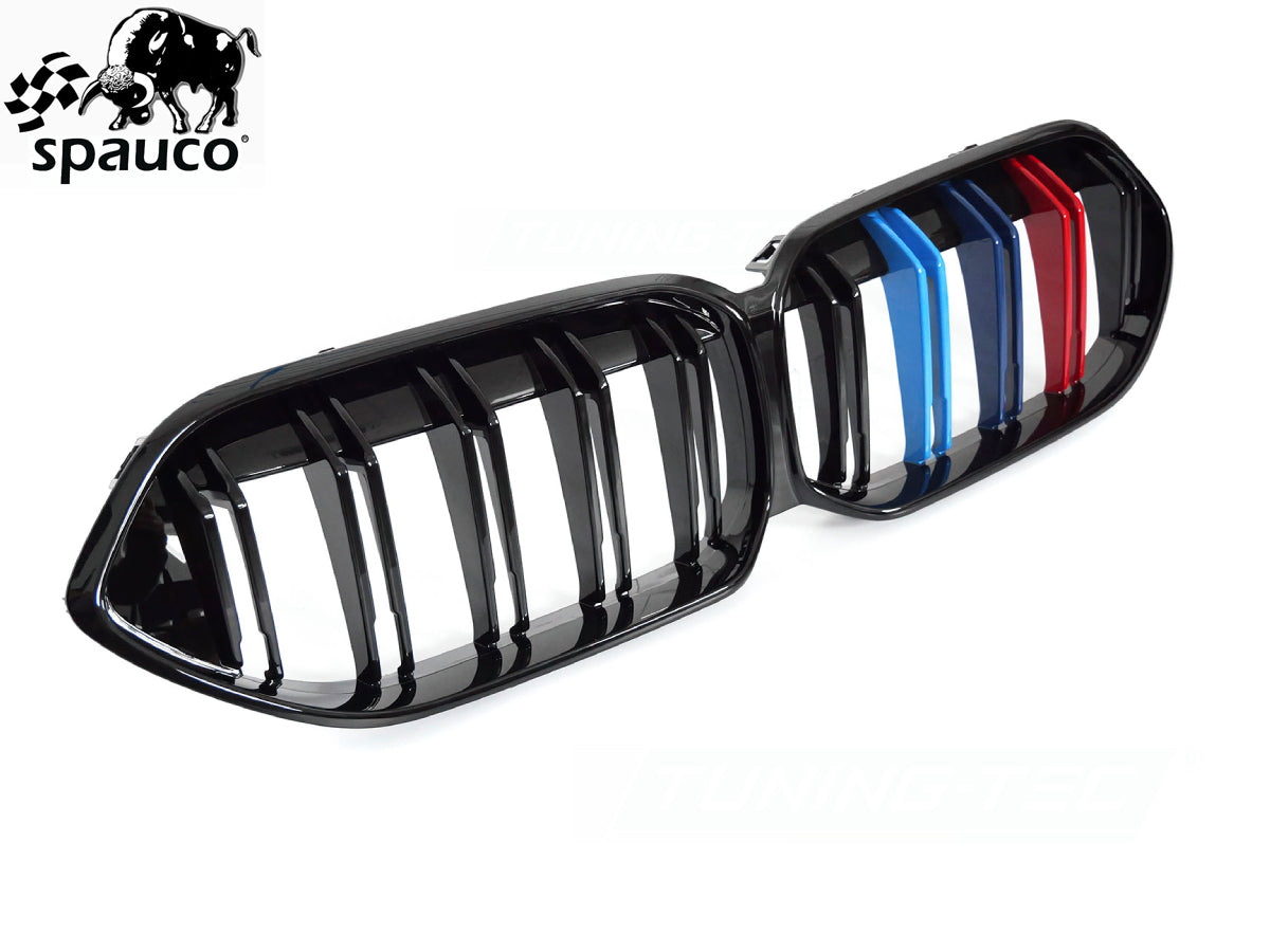 Rejilla BMW F44