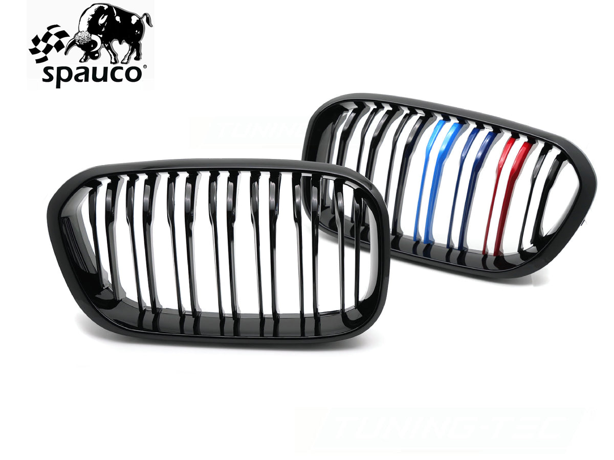 Rejilla BMW F20