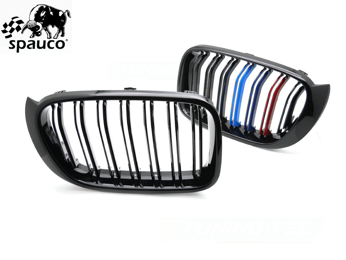 Rejilla BMW X3