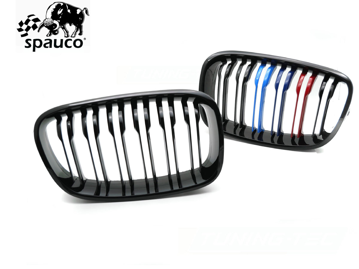 Rejilla BMW F20