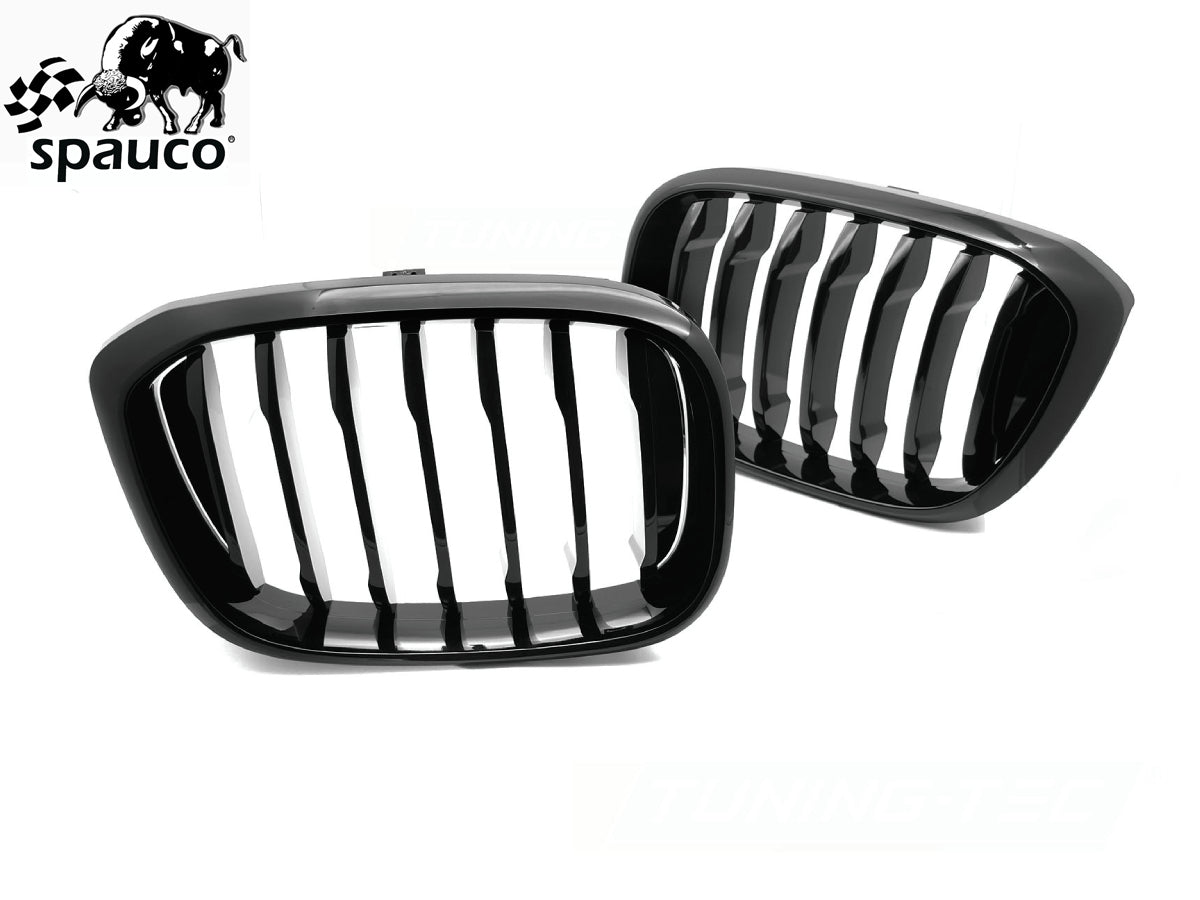 Rejilla BMW X3