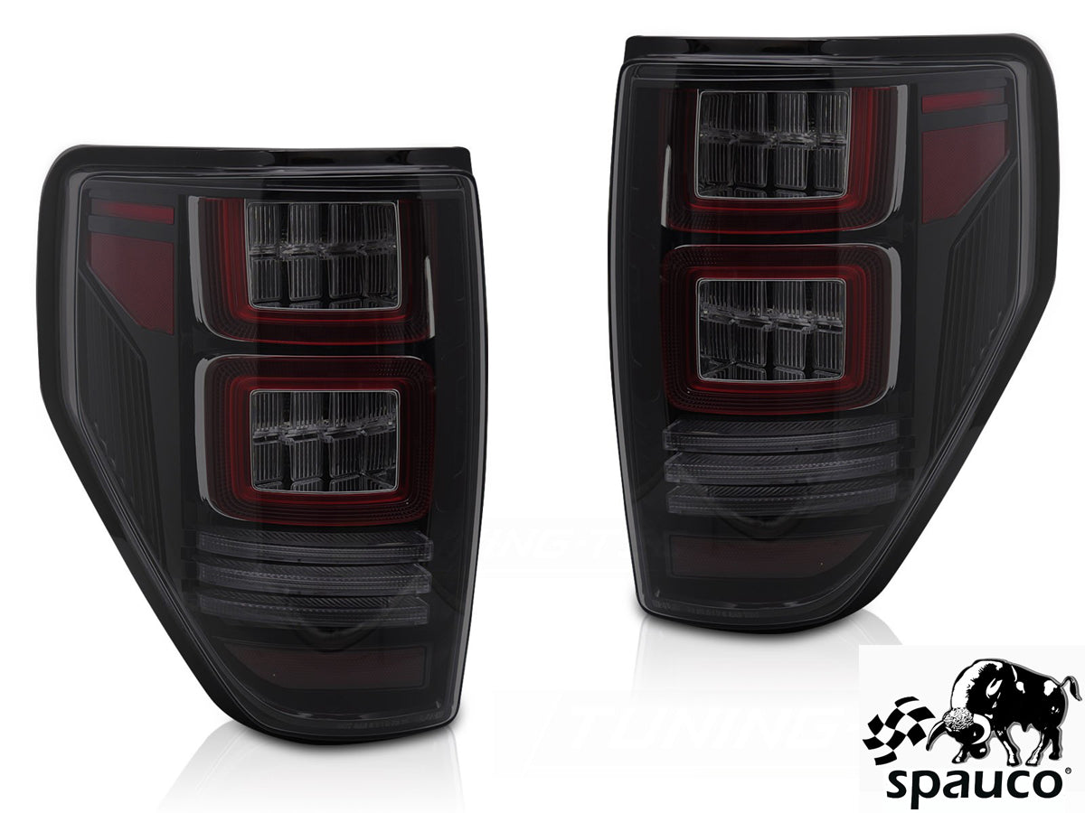 Pilotos Ford F150