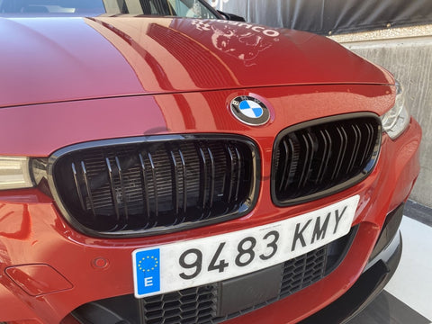Rejilla BMW F30